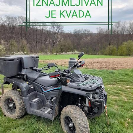 Vikend kuca Badejevic Villa Plavna Eksteriør billede