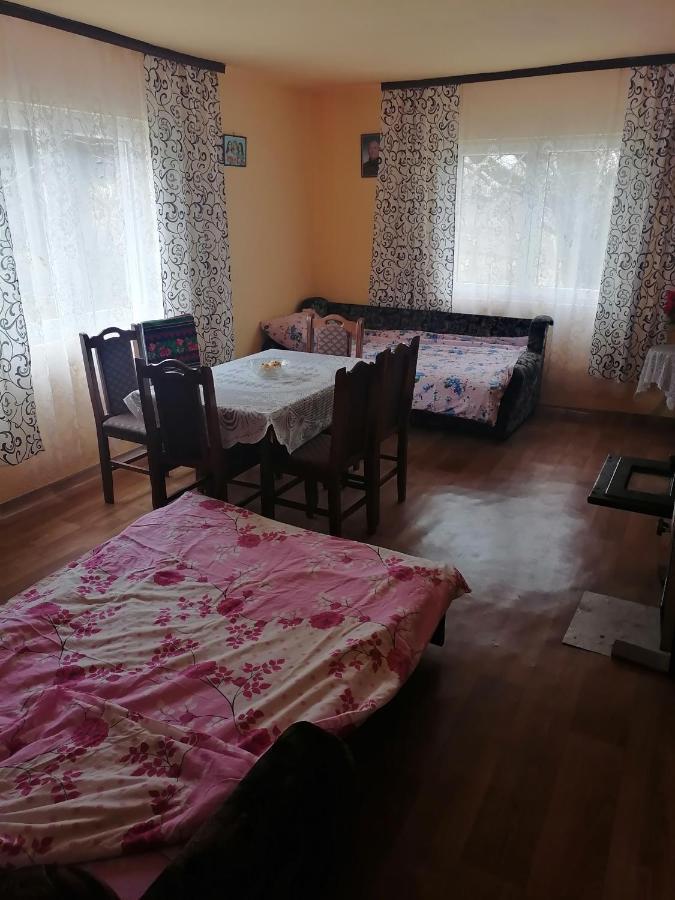 Vikend kuca Badejevic Villa Plavna Eksteriør billede