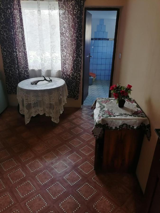 Vikend kuca Badejevic Villa Plavna Eksteriør billede