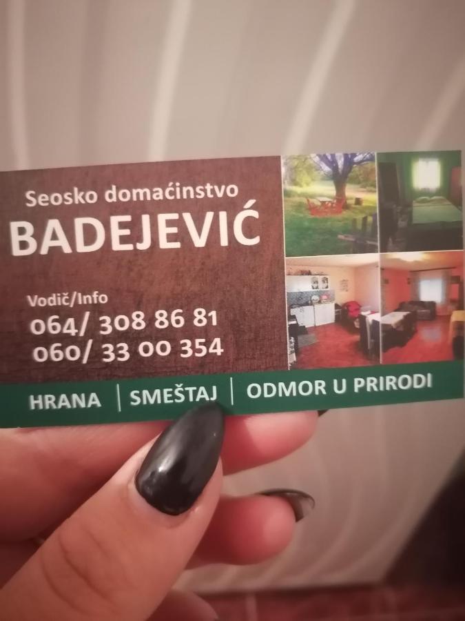 Vikend kuca Badejevic Villa Plavna Eksteriør billede