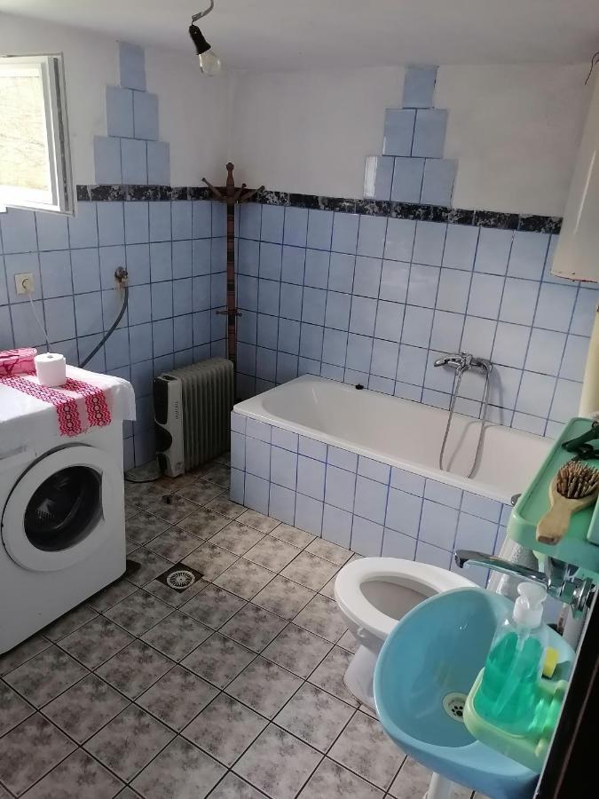 Vikend kuca Badejevic Villa Plavna Eksteriør billede